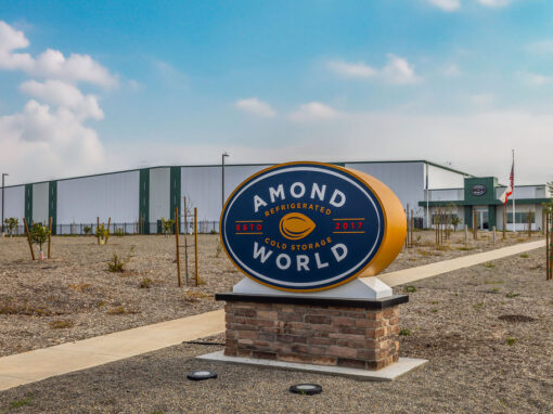Amond World